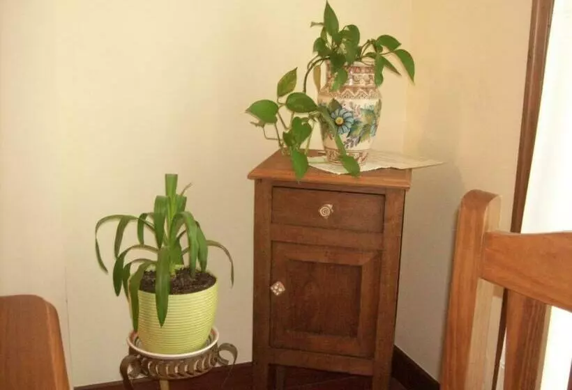 Pension Txomin Ostatua