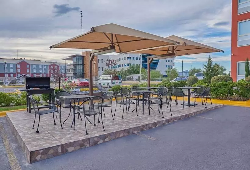 酒店 City Express Junior By Marriott Juarez Consulado