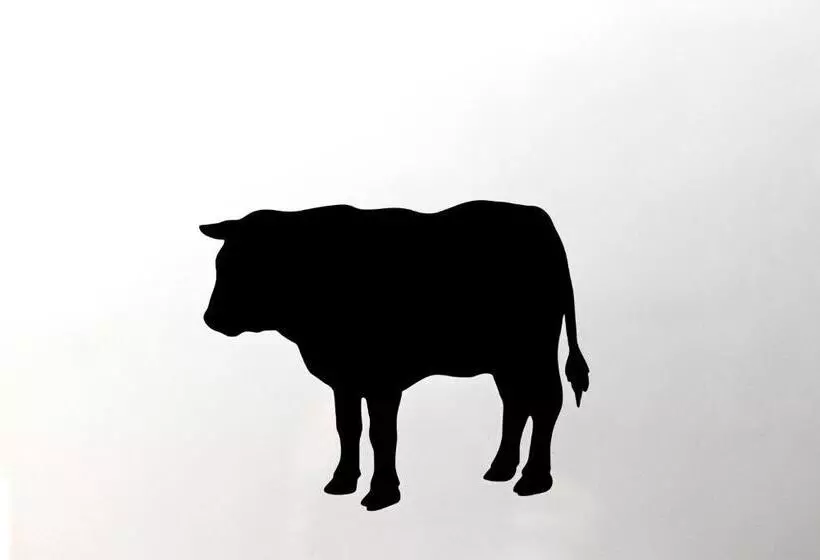 تختخواب و صبحانه Antiga Casa Do Boi