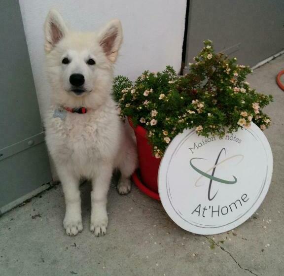 Nocleg ze śniadaniem Maison D Hôtes At Home