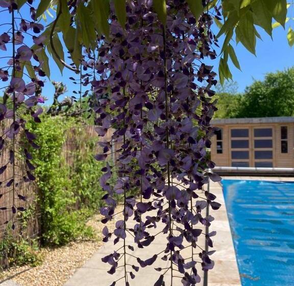 צימר Le Clos Des Olivettes