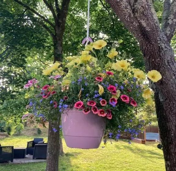 ベッドアンドブレックファースト Le Clos Des Olivettes