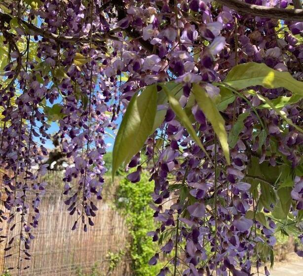 צימר Le Clos Des Olivettes