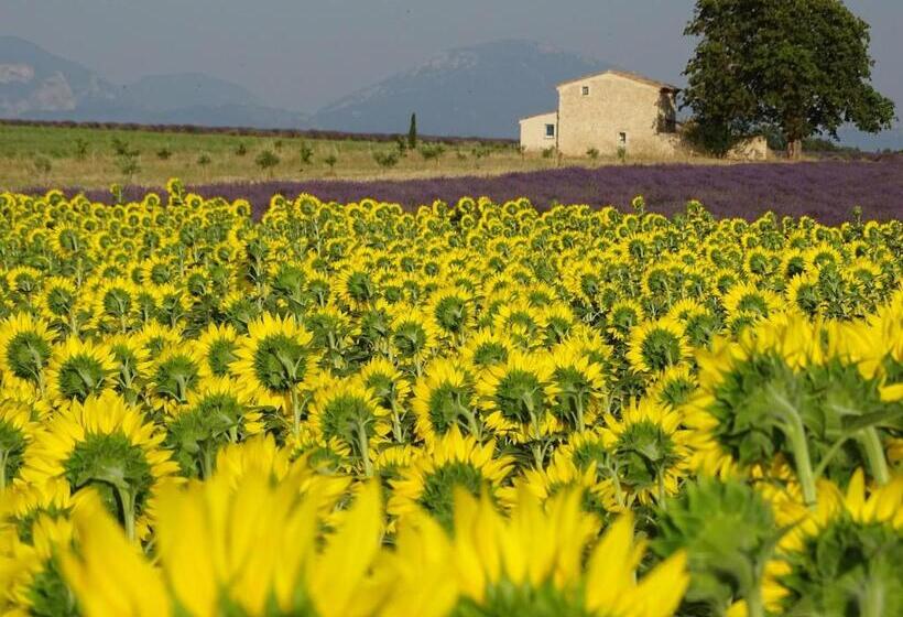 تختخواب و صبحانه Les Secrets Du Mistral