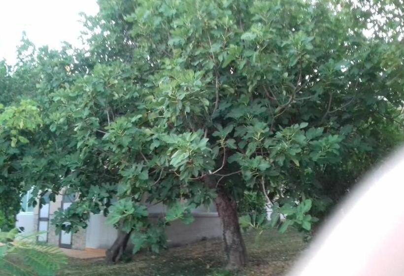 فندق Camping Agriturist Sant Anna