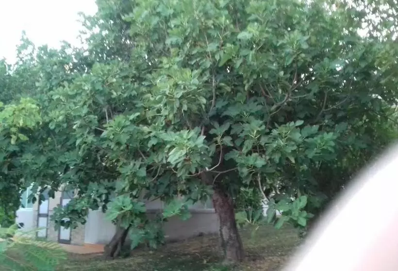 ホテル Camping Agriturist Sant Anna