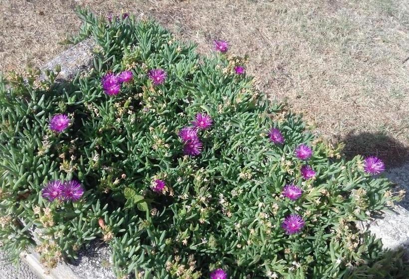 فندق Camping Agriturist Sant Anna