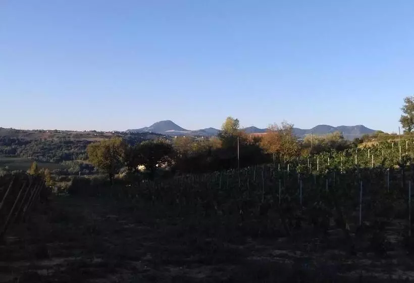 ホテル Camping Agriturist Sant Anna