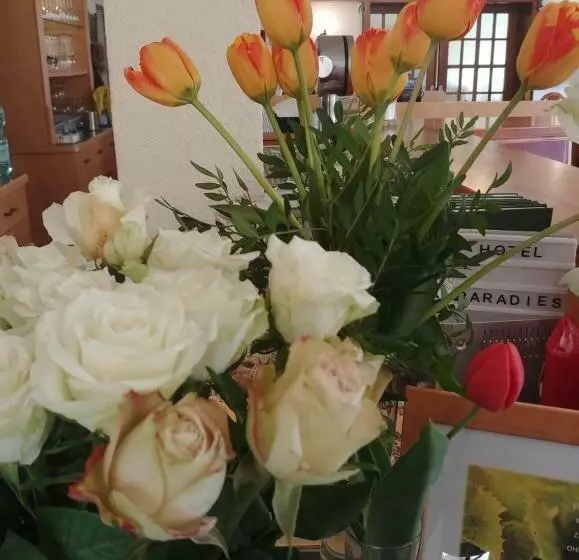 Hotelli Hatzenporter Paradies