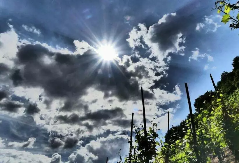 Hotelli Hatzenporter Paradies