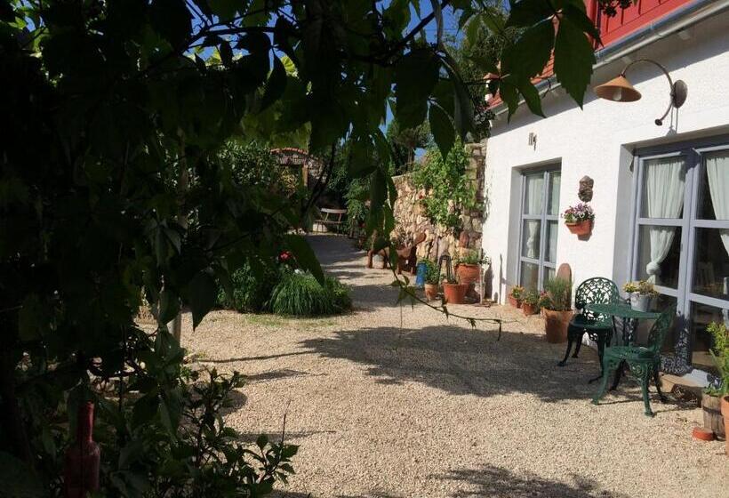 膳宿费 Három Huszár Köveskal