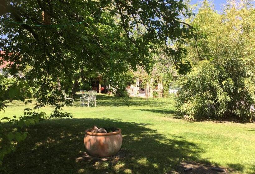 膳宿费 Három Huszár Köveskal