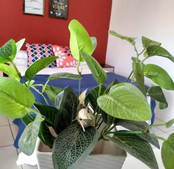 Majatalo Pousada No Farol