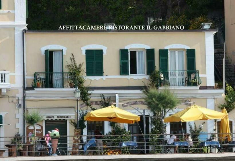 پانسیون Viviani Raffaella