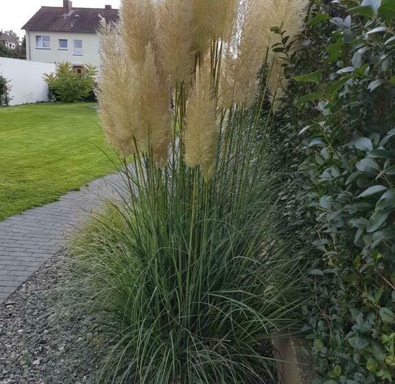 Pension Harleshausen