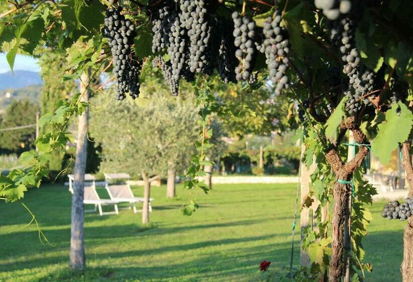 B&b Campagnon Valpolicella