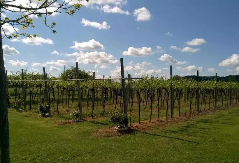 B&b Campagnon Valpolicella