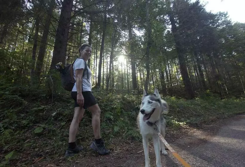 B&b Casa Mia   Camere In Appartamento Privato