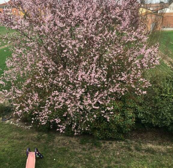 B&b La Casa Di Klida