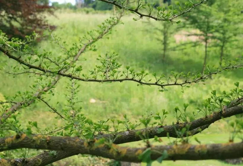 Aamiaismajoitus (B&B) Château De Bonne Espérance