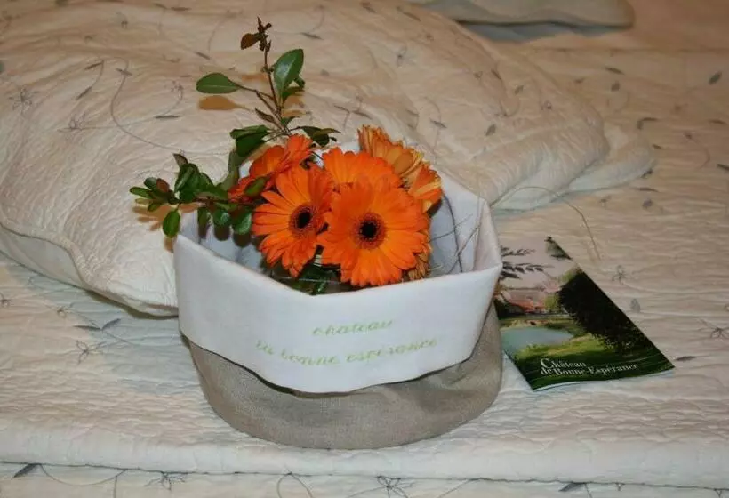 Aamiaismajoitus (B&B) Château De Bonne Espérance