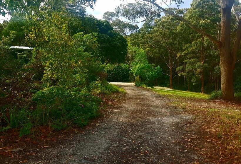 مبيت وإفطار Forest View Bungalow