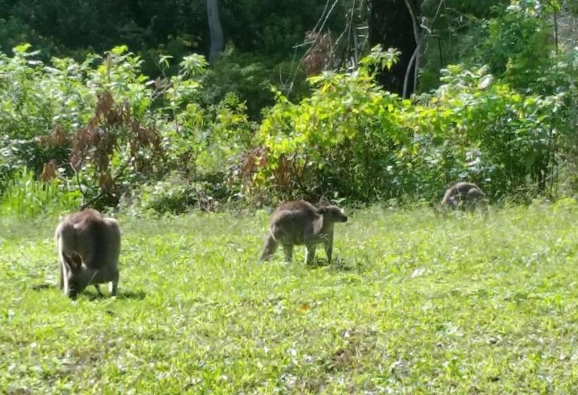 مبيت وإفطار Forest View Bungalow
