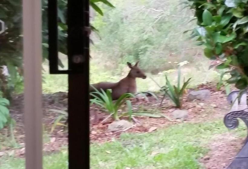 مبيت وإفطار Forest View Bungalow