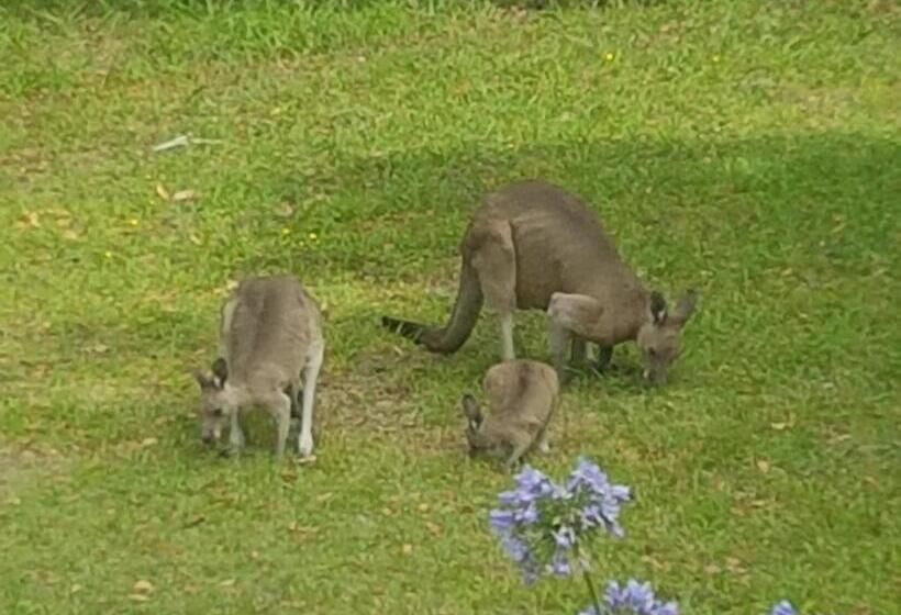 مبيت وإفطار Forest View Bungalow