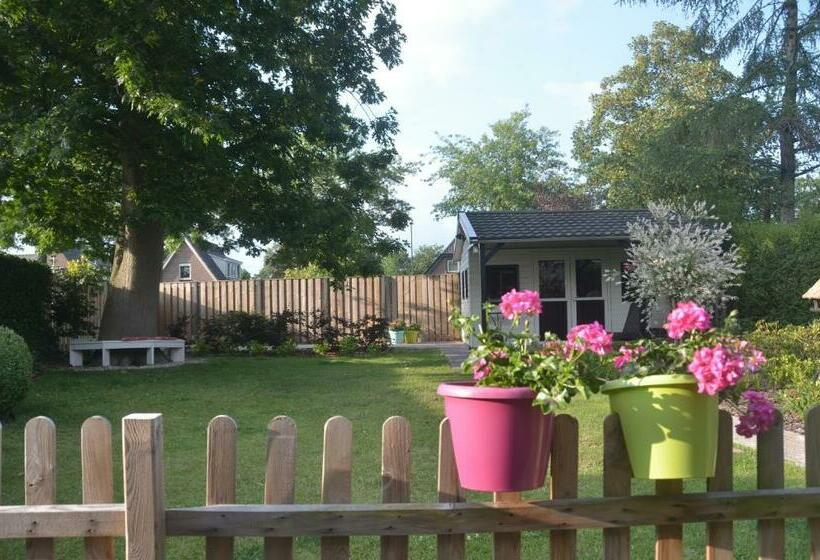 Bed And Breakfast Hattem