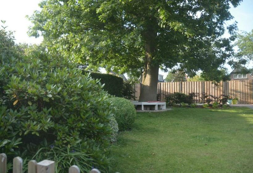 Bed And Breakfast Hattem