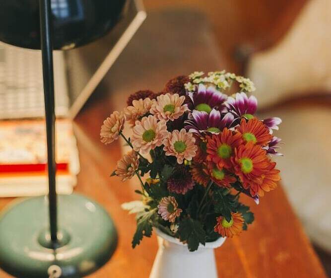 پانسیون Casa Do Contador Suites & Pool