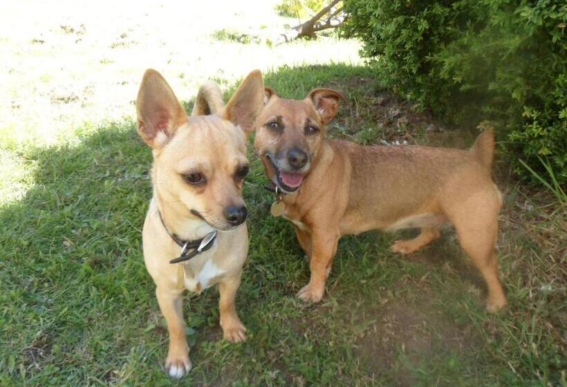 Riverside Bed And Breakfast