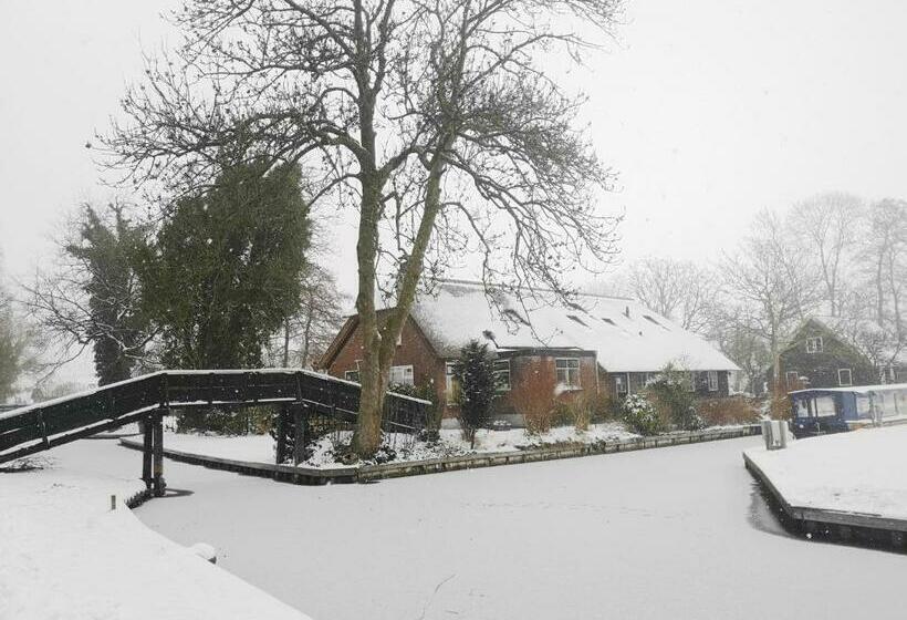 The Black Sheep Hostel