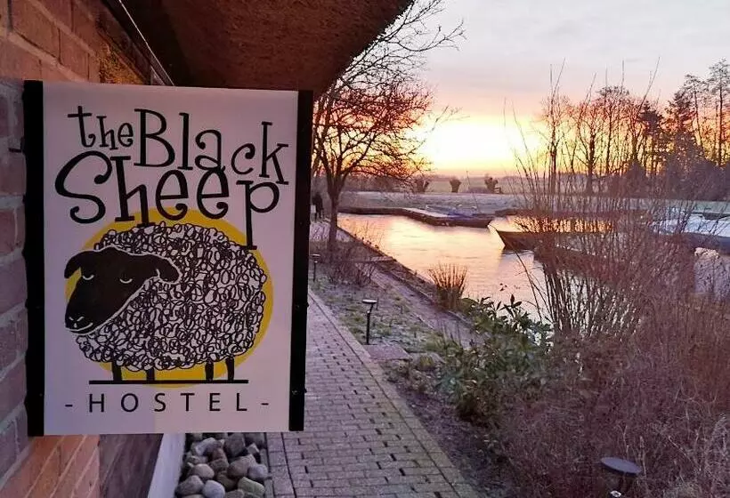 The Black Sheep Hostel