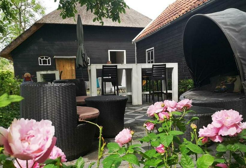 The Black Sheep Hostel