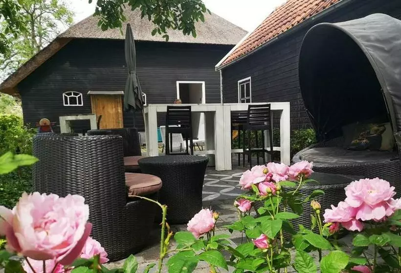 The Black Sheep Hostel