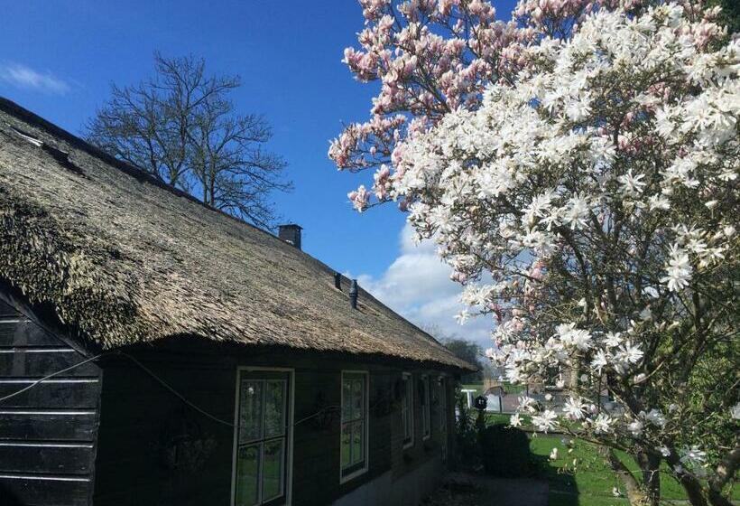 The Black Sheep Hostel