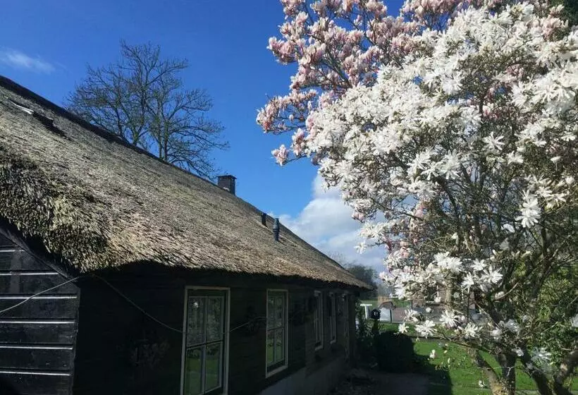 The Black Sheep Hostel