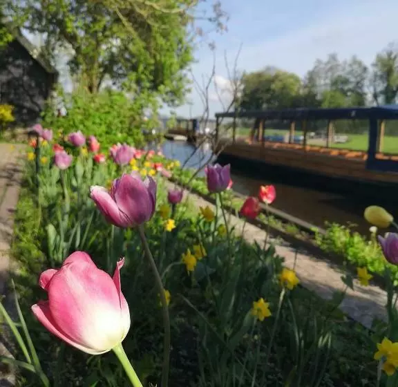 The Black Sheep Hostel