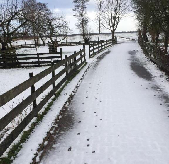 The Black Sheep Hostel