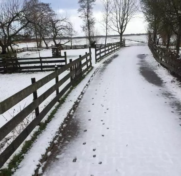 The Black Sheep Hostel