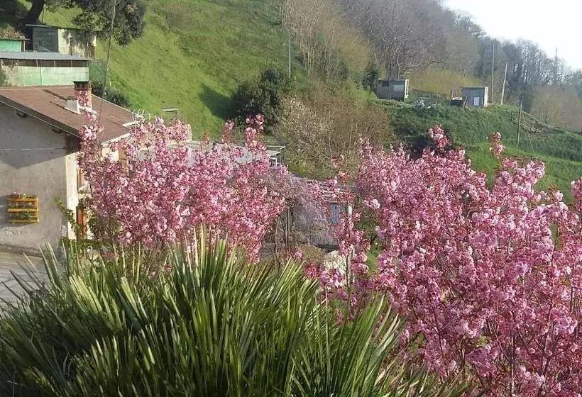 B&b Al Ciliegio Del Turchino