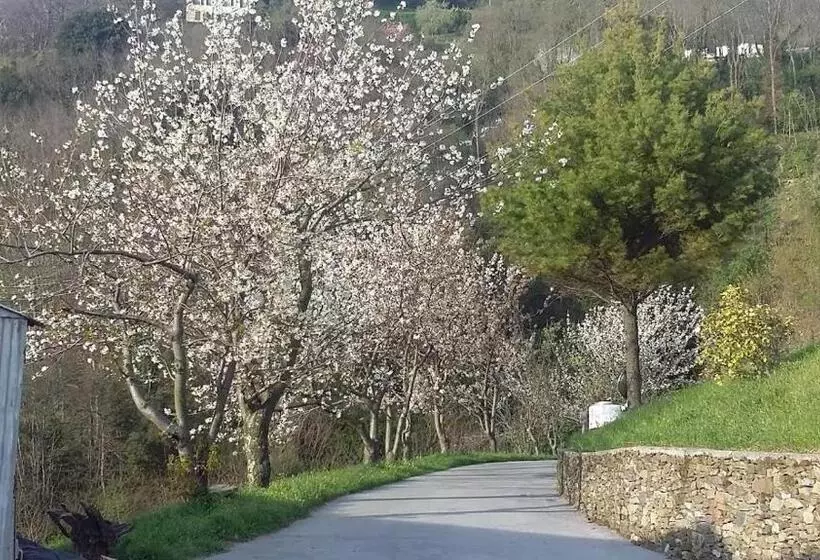 B&b Al Ciliegio Del Turchino