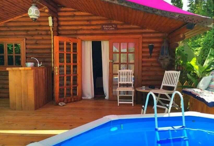 Bed and Breakfast Romantic Private Cabin