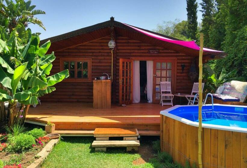 Bed and Breakfast Romantic Private Cabin