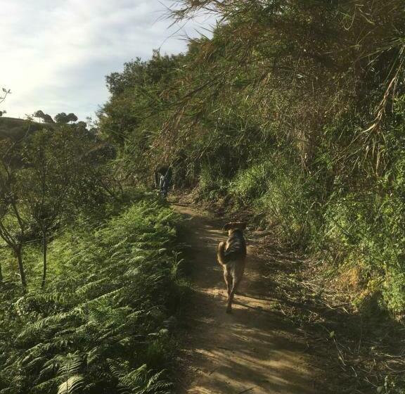 Bed and Breakfast Romantic Private Cabin