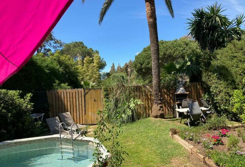 Bed and Breakfast Romantic Private Cabin