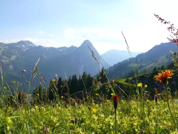 ホテル Gratzerhof