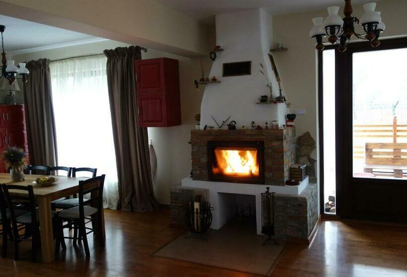 Отель Pensiunea Tania Nora